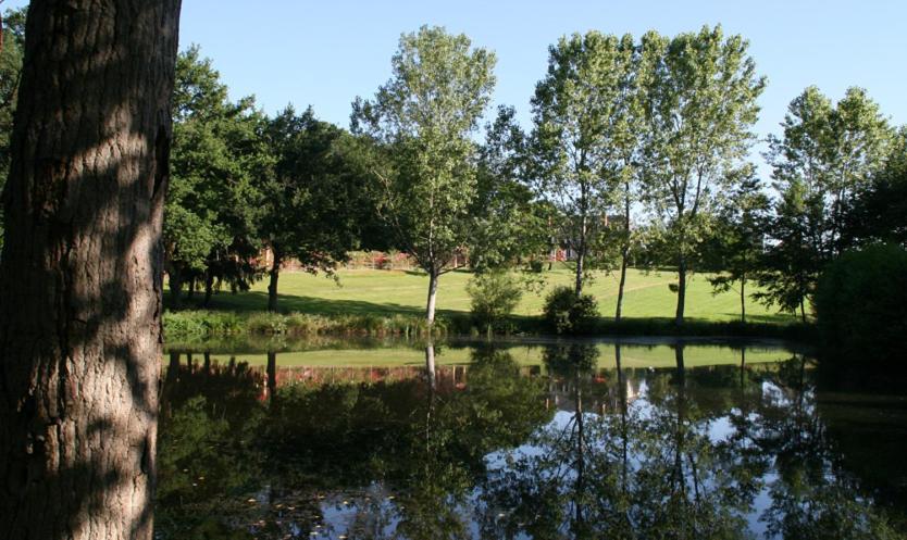 アルデネ Domaine De Vilotte Bed & Breakfast エクステリア 写真